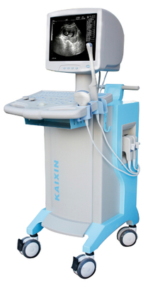 KX2800 Full digital human B mode ultrasonic diagnostic instruments