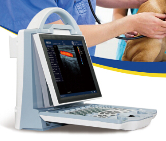 DCU12 portable full digital color doppler vet ultrasound scanner