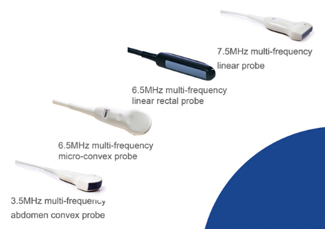 DCU12 portable color doppler vet use ultrasound scanner
