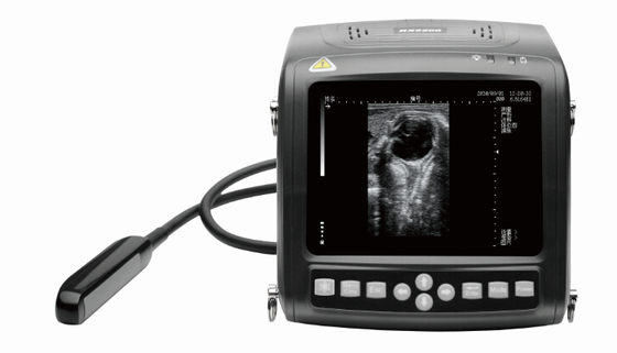 KX5200 wrist portable  full- digital B mode veterinary ultrasound scanner
