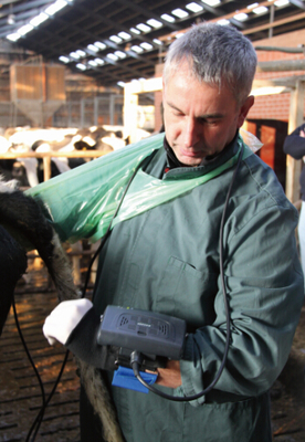 KX5200 wrist portable  full- digital B mode veterinary ultrasound scanner