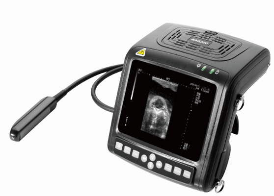 KX5200 wrist portable  full- digital B mode veterinary ultrasound scanner