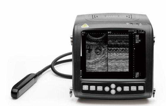 KX5200 wrist portable  full- digital B mode veterinary ultrasound scanner