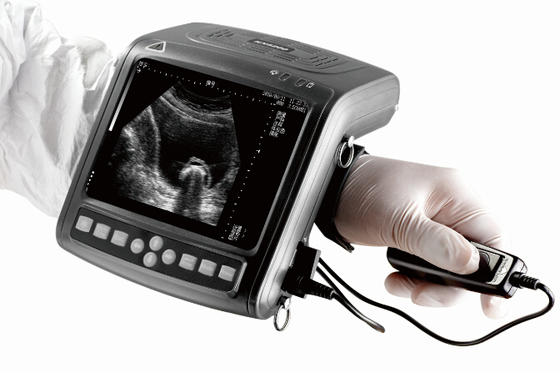 KX5200 wrist portable  full- digital B mode veterinary ultrasound scanner