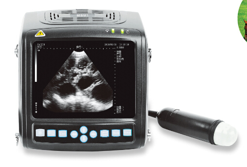 MSU1 wrist mechanical sector vet use ultrasound scanner