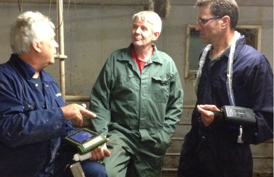 king ring mechanical sector vet use ultrasound scanner