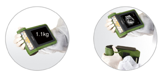 MSU2 king ring mechanical sector vet use ultrasound scanner