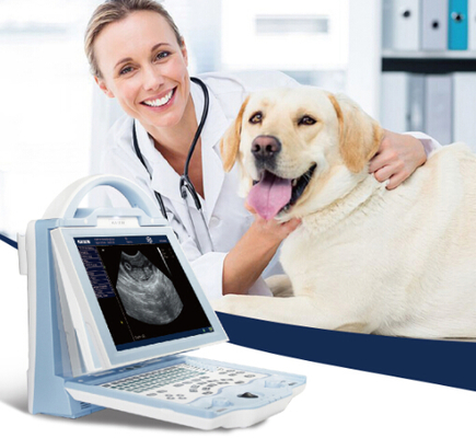 KX5600V portable full digital B mode veterinary ultrasound scanner