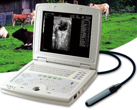 KX5000V laptop full digital B mode veterinary ultrasound scanner