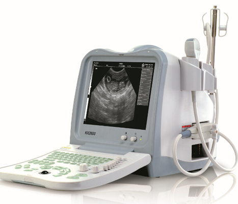 KX2600V portable  veterinary ultrasound scanner