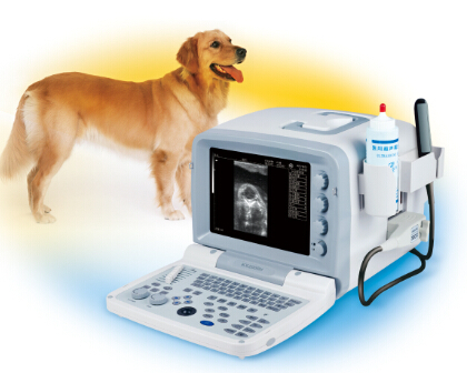 KX2000V portable full digital B mode veterinary ultrasound scanner