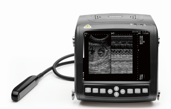 KX5200 wrist portable veterinary ultrasound scanner