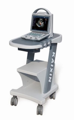 DCU12 portable full digital color doppler ultrasound scanner(Updated version)