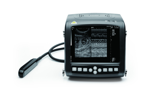 KX5200 Veterinary B Mode Ultrasound scanner