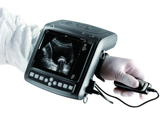 KX5200 Veterinary B Mode Ultrasound scanner