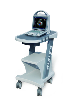 DCU12 Veterinary Color Doppler Ultrasound Scanner(Updated version)