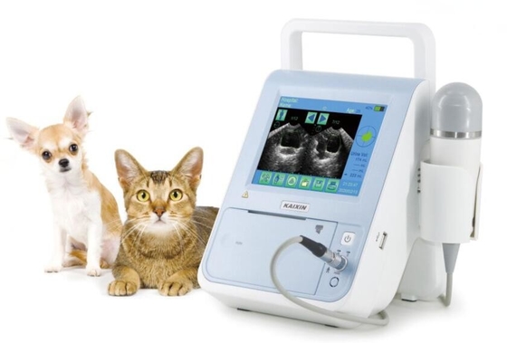 BVT01 Vet Bladder scanner