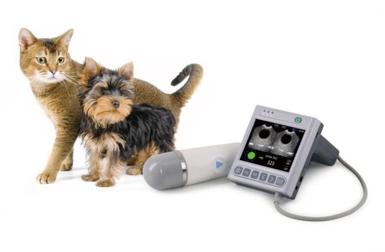 BVT02 Vet Bladder scanner